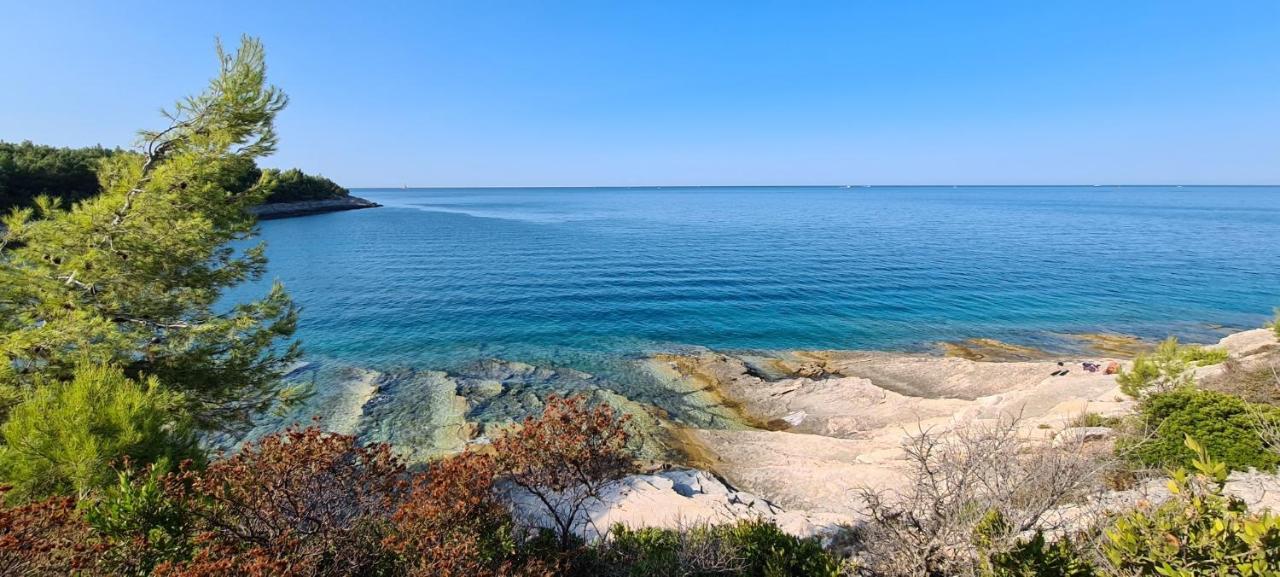 Villa Providenca Volme Hrvatska Banjole Exteriér fotografie